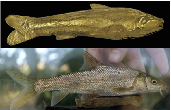 achaemenid_golden_fish_oxus_treasure