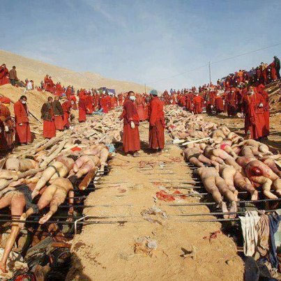 arakan_muslumanlari_kan_agliyor