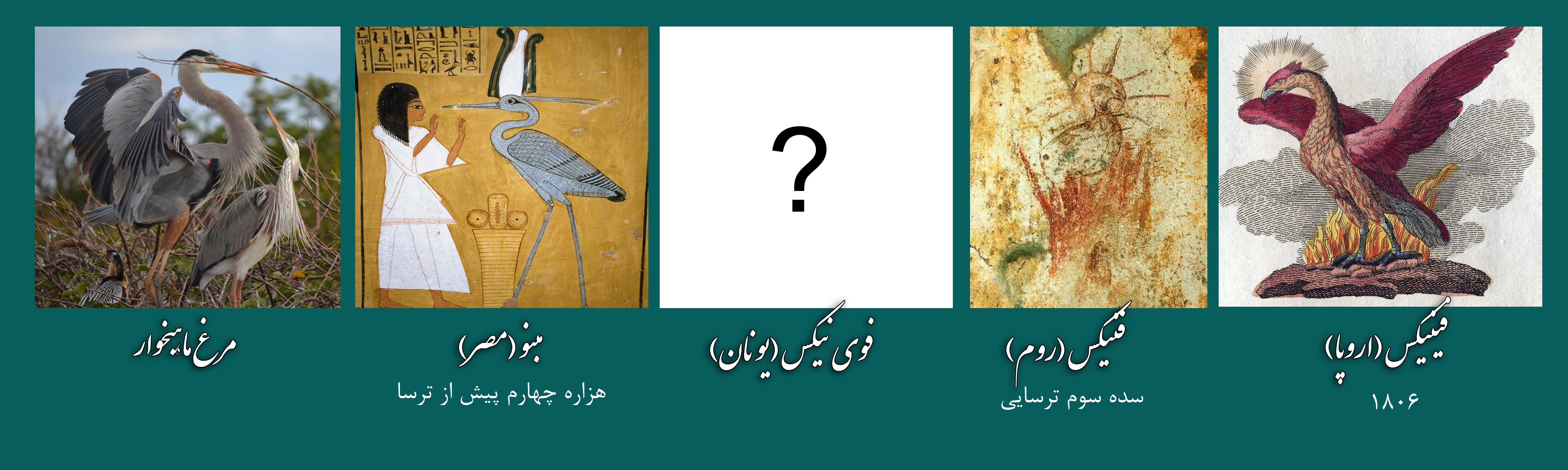 from_heron_to_bannu_angha_qoqnus_samandar